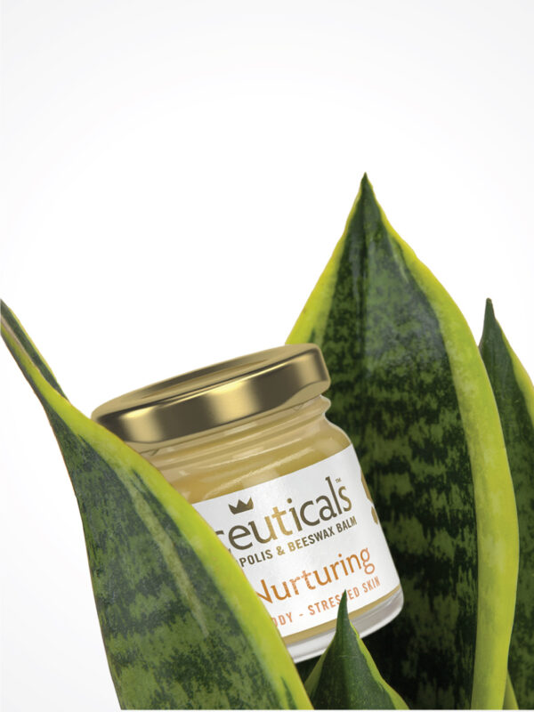 Apiceuticals Ultra Nurturing Honey Balm